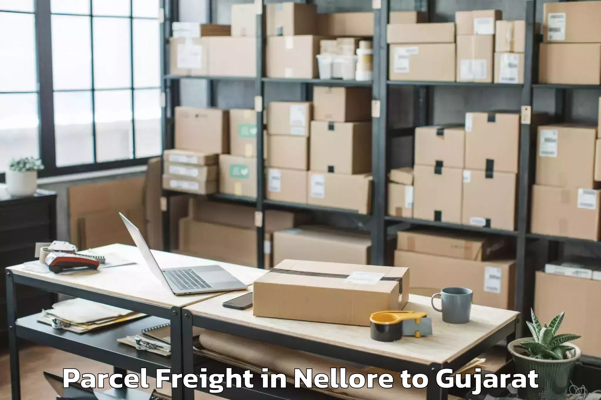 Quality Nellore to Marwadi University Rajkot Parcel Freight